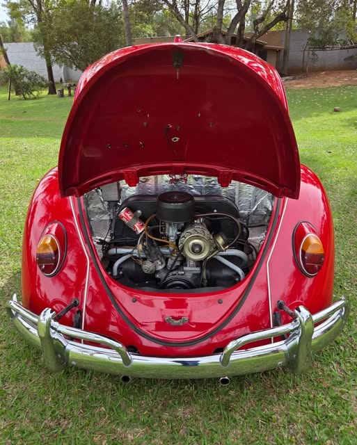 VOLKSWAGEN FUSCA - Imagem 12