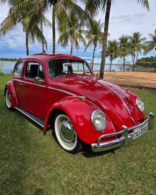 VOLKSWAGEN FUSCA - Imagem 6