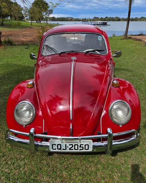 VOLKSWAGEN FUSCA - Imagem 8