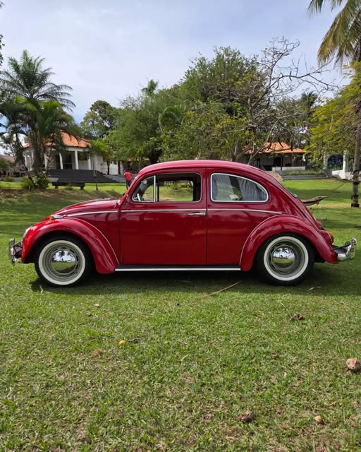VOLKSWAGEN FUSCA - Imagem 10