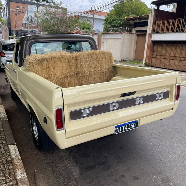 FORD F-100 - Imagem 8
