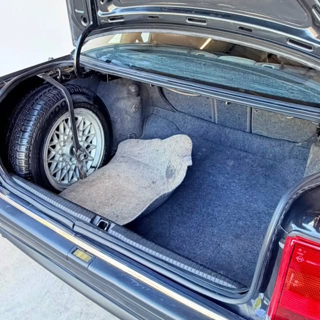 CHEVROLET OMEGA CD - Imagem 10