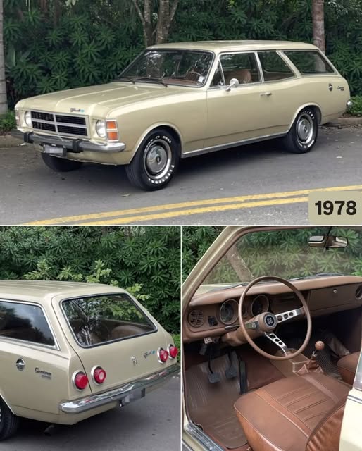 CHEVROLET CARAVAN - Imagem 1