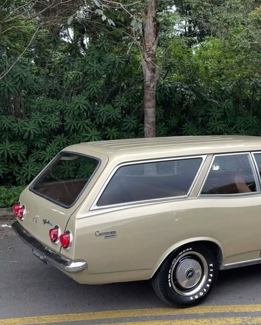 CHEVROLET CARAVAN - Imagem 10