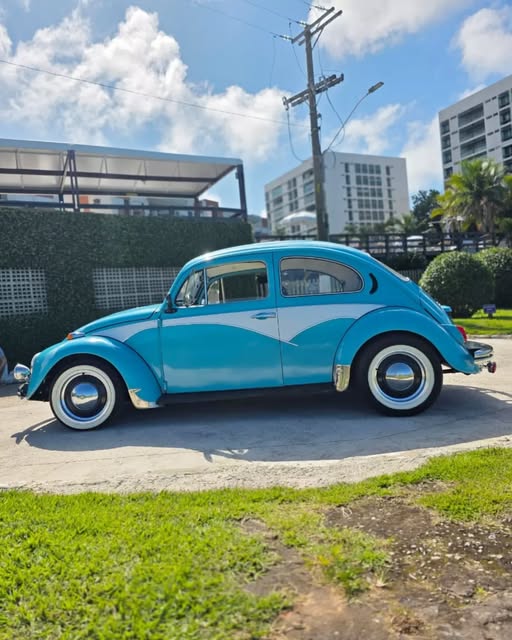 VOLKSWAGEN FUSCA - Imagem 11