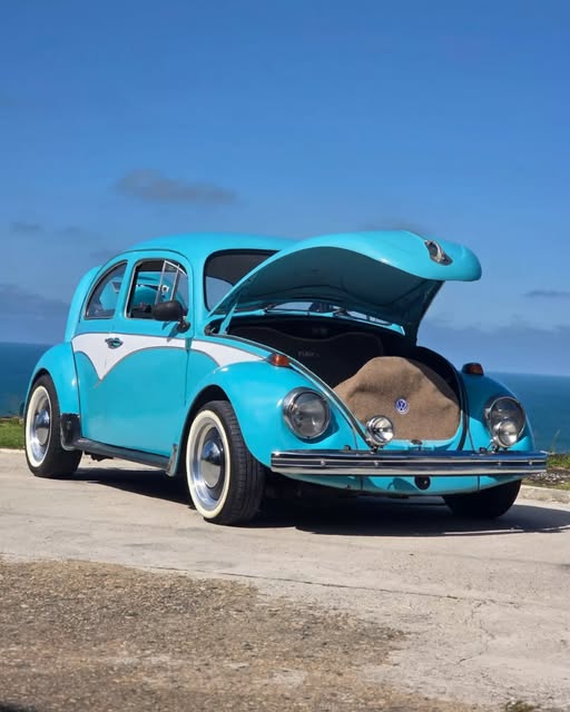 VOLKSWAGEN FUSCA - Imagem 17