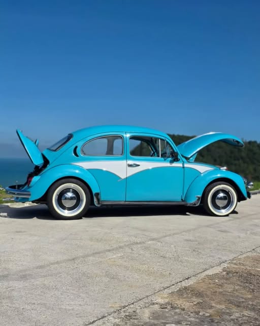 VOLKSWAGEN FUSCA - Imagem 7