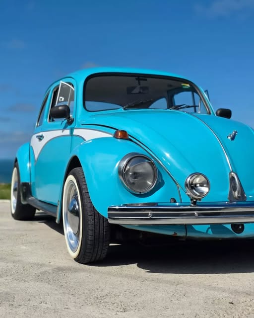 VOLKSWAGEN FUSCA - Imagem 8