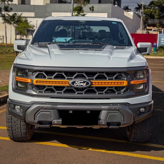 FORD F-150 TREMOR - Imagem 2