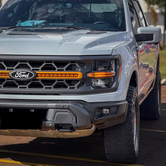 FORD F-150 TREMOR - Imagem 3