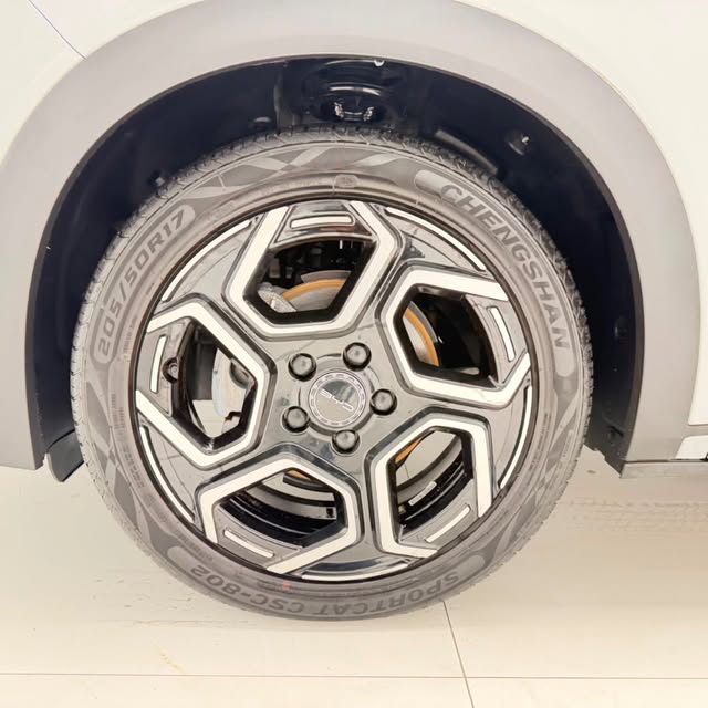 BYD DOLPHIN PLUS - Imagem 8