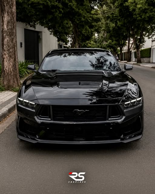 FORD MUSTANG DARK HORSE - Imagem 1