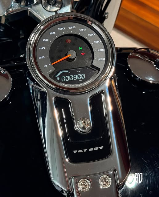 HARLEY-DAVIDSON FAT BOY 114 - Imagem 4