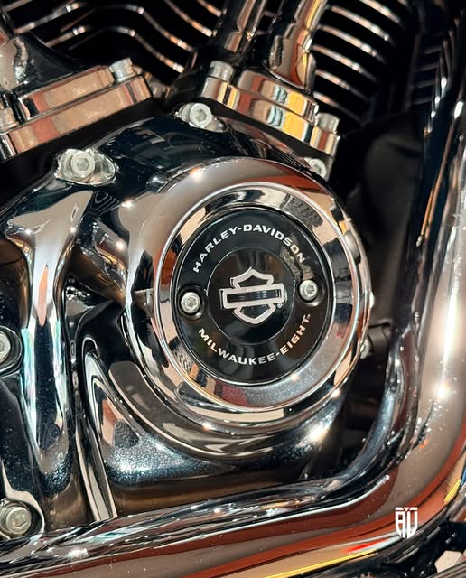 HARLEY-DAVIDSON FAT BOY 114 - Imagem 5