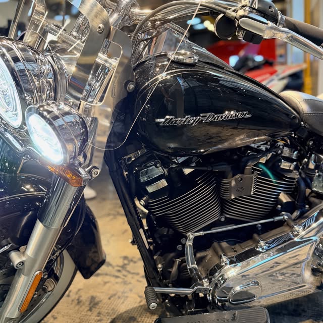 HARLEY-DAVIDSON SOFTAIL DELUXE - Imagem 8
