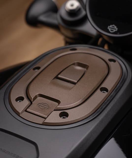 HARLEY-DAVIDSON SPORTSTER S - Imagem 6