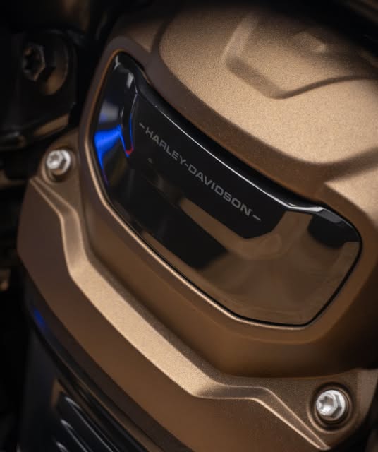 HARLEY-DAVIDSON SPORTSTER S - Imagem 7
