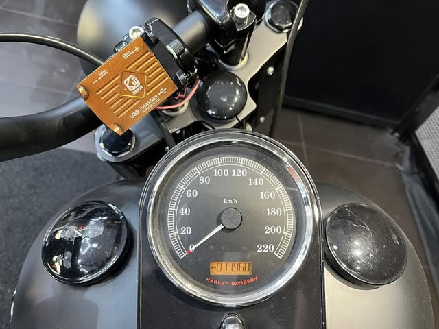 HARLEY-DAVIDSON FAT BOY - Imagem 7