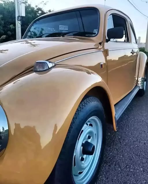 VOLKSWAGEN FUSCA - Imagem 16