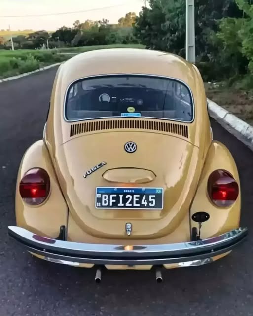 VOLKSWAGEN FUSCA - Imagem 6
