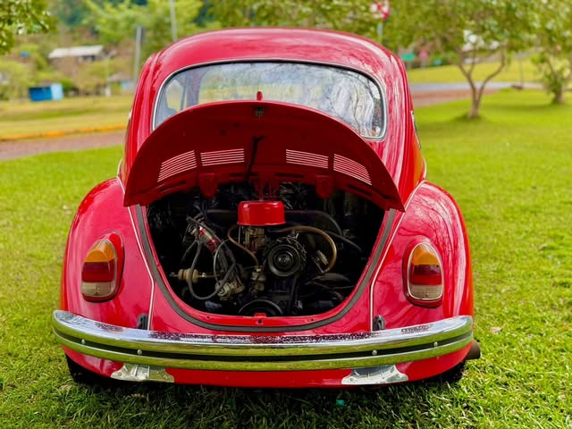 VOLKSWAGEN FUSCA - Imagem 19