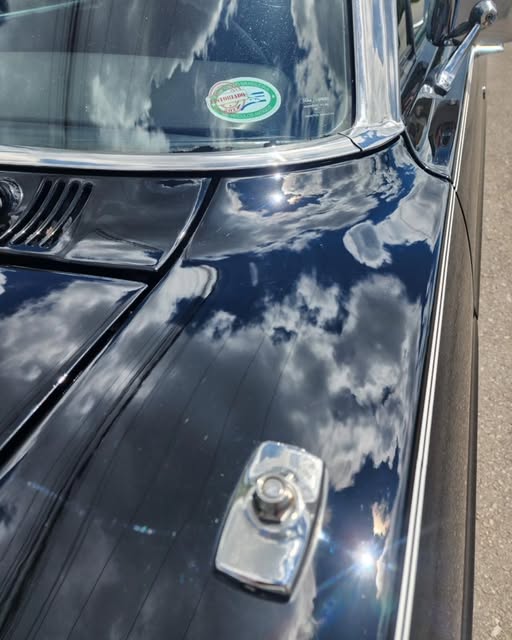 FORD LANDAU - Imagem 16