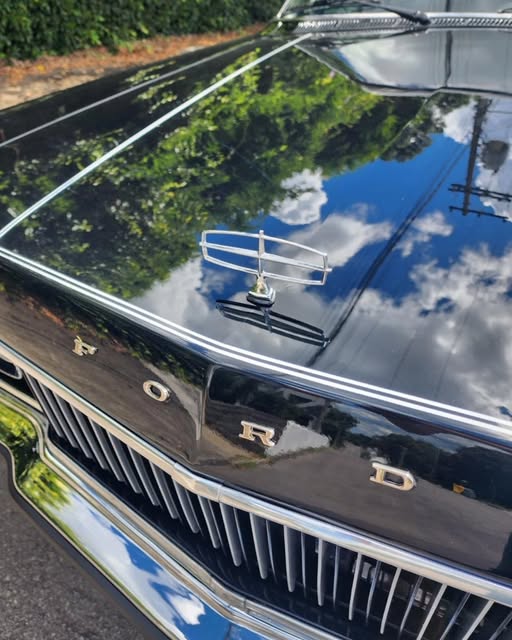 FORD LANDAU - Imagem 8