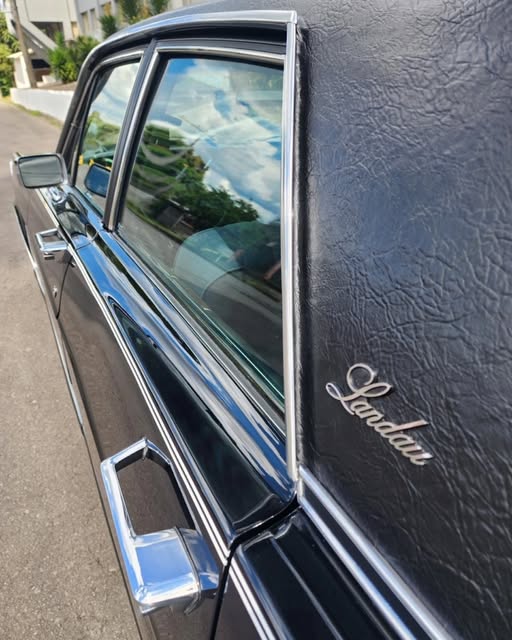 FORD LANDAU - Imagem 10