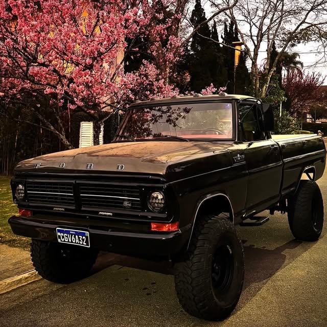 FORD F-1000 - Imagem 5