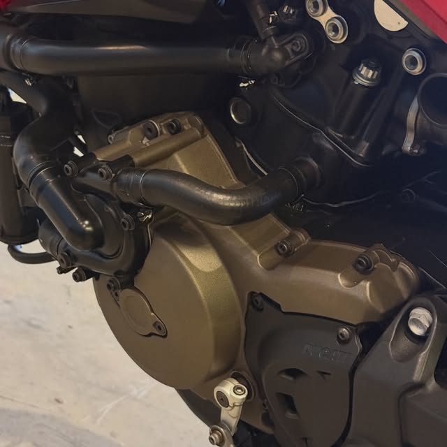 DUCATI MONSTER 821 - Imagem 9