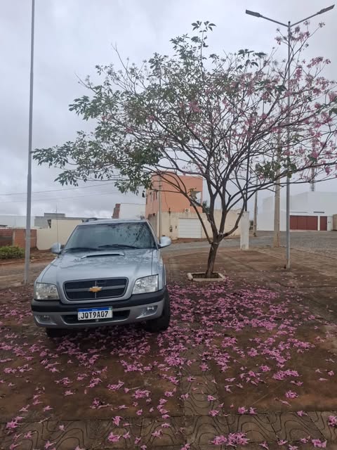 GM S10 EXCECUTIVE - Imagem 6