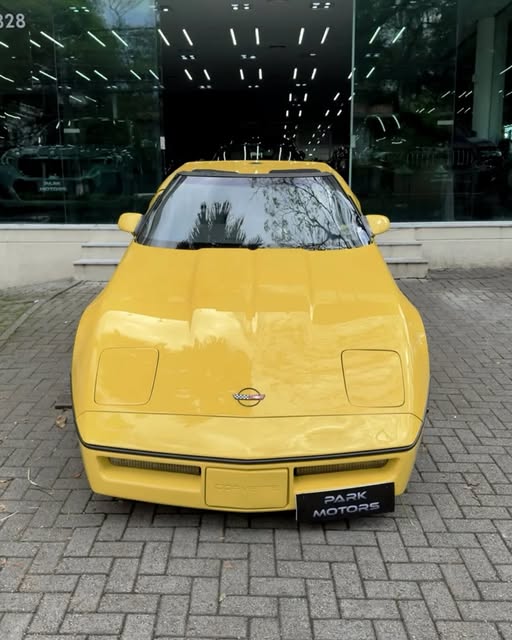 CHEVROLET CORVETTE INDY 500 PACE CAR - Imagem 3