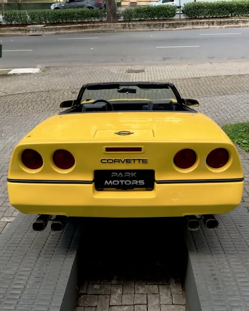 CHEVROLET CORVETTE INDY 500 PACE CAR - Imagem 6
