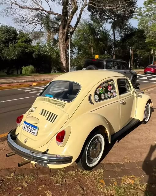 VOLKSWAGEN FUSCA - Imagem 12