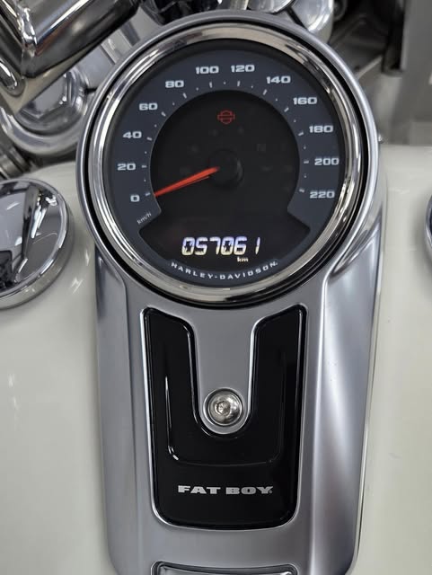 HARLEY-DAVIDSON SOFTAIL FAT BOY - Imagem 15
