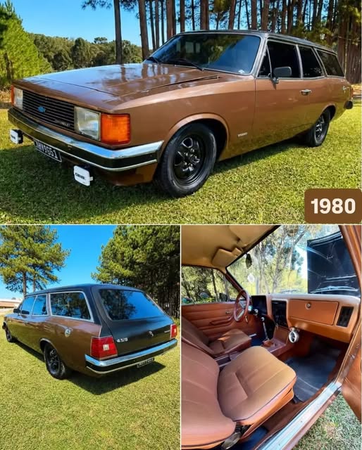 CHEVROLET CARAVAN - Imagem 1