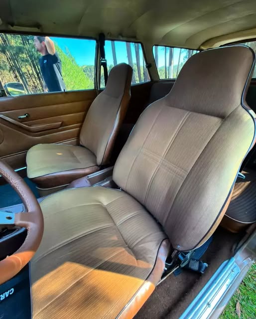 CHEVROLET CARAVAN - Imagem 11