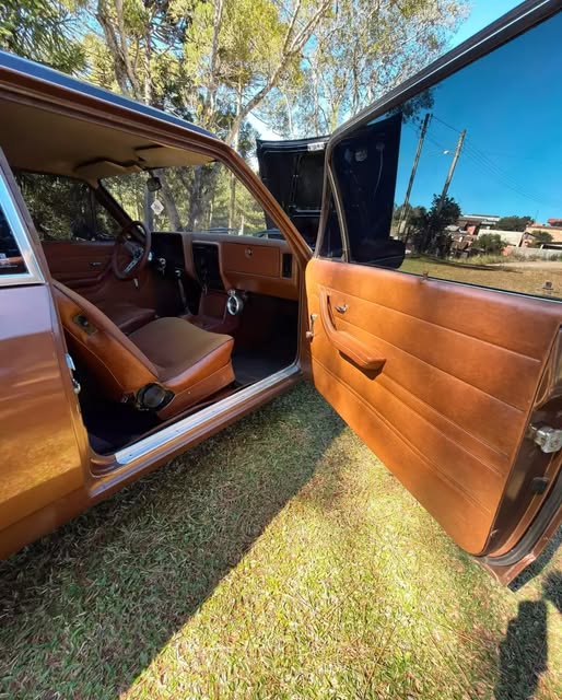 CHEVROLET CARAVAN - Imagem 13