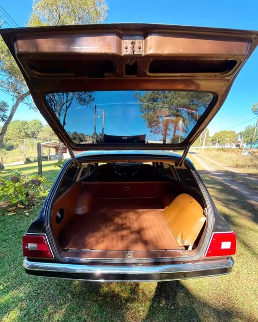 CHEVROLET CARAVAN - Imagem 15