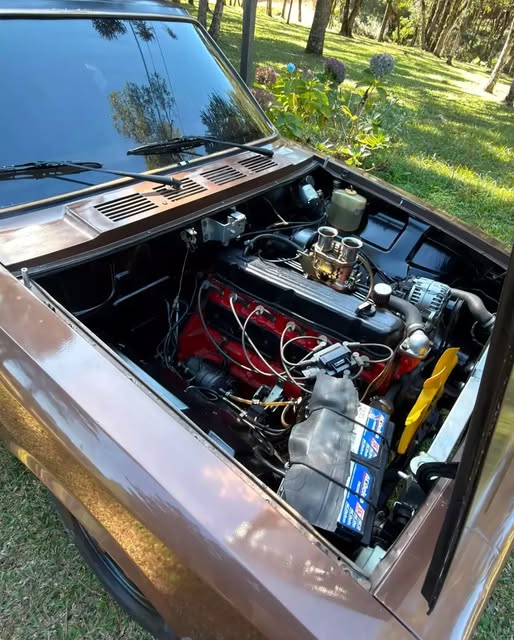 CHEVROLET CARAVAN - Imagem 19