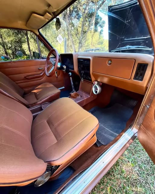 CHEVROLET CARAVAN - Imagem 4