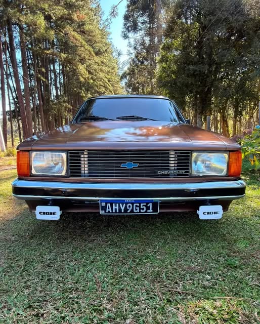 CHEVROLET CARAVAN - Imagem 6