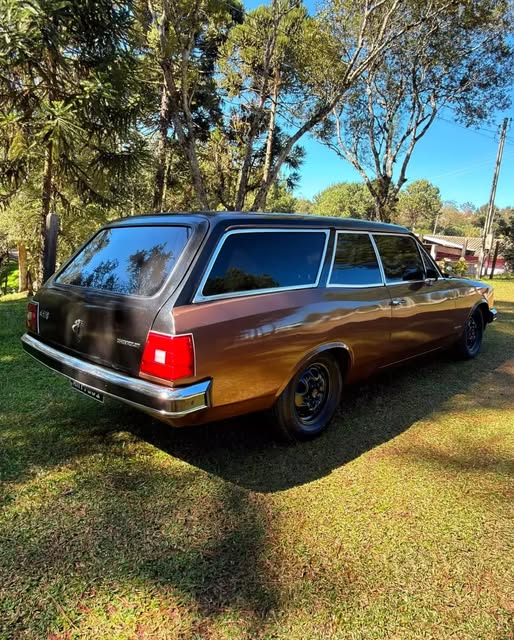 CHEVROLET CARAVAN - Imagem 9