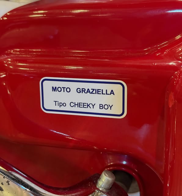 CARNIELLI MOTOGRAZIELLA - Imagem 10
