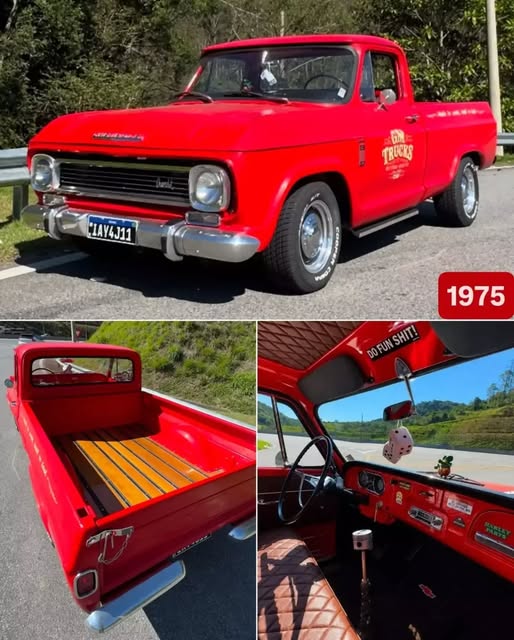 CHEVROLET C10 - Imagem 1