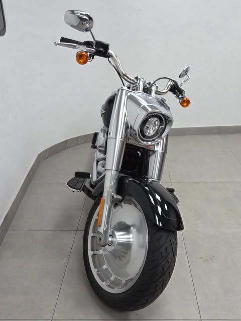 HARLEY-DAVIDSON SOFTAIL FAT BOY - Imagem 9