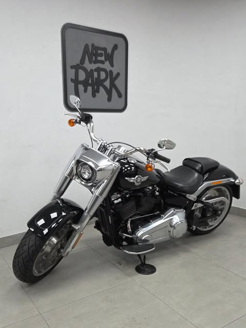 HARLEY-DAVIDSON SOFTAIL FAT BOY - Imagem 10