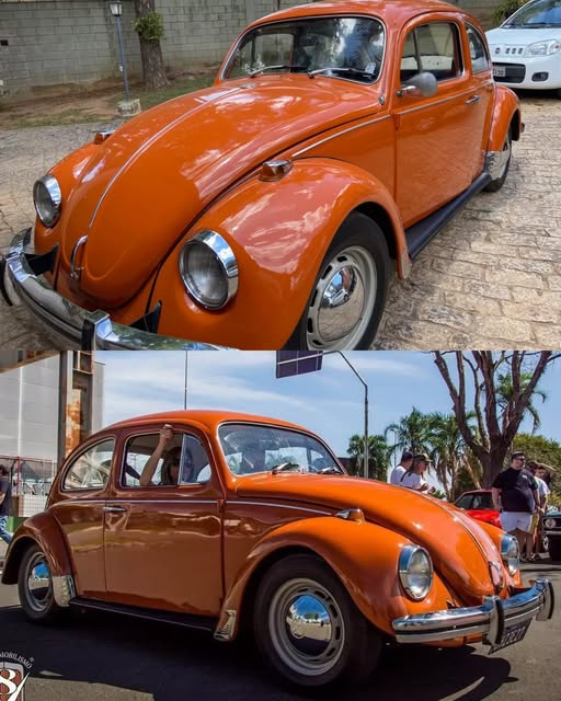 VOLKSWAGEN FUSCA - Imagem 2