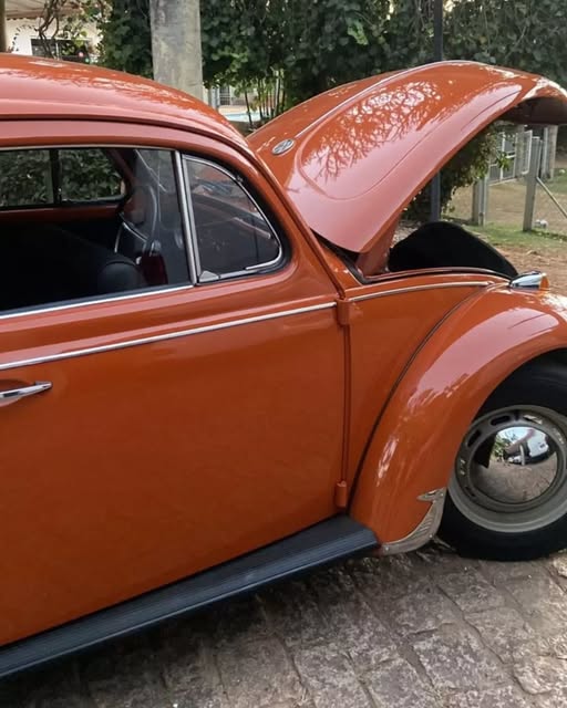 VOLKSWAGEN FUSCA - Imagem 9