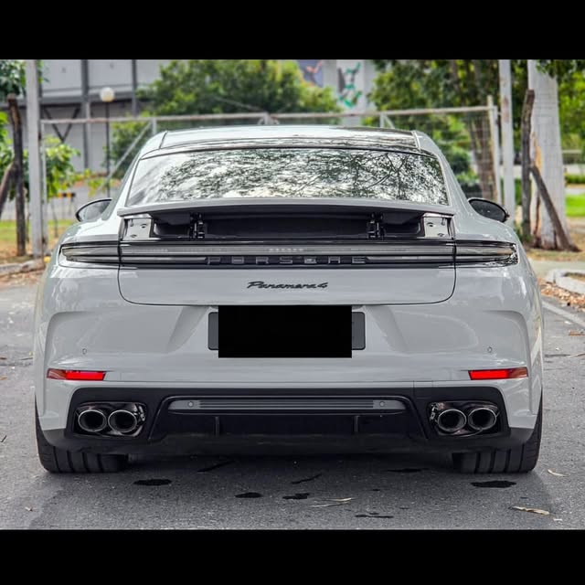 PORSCHE PANAMERA 4 2.9 V6 E-HYBRID - Imagem 13